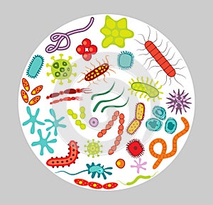 Cartoon bacterias. Microbiological virus and contagion infection bacteria set flat drawing. View through a microscope