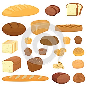 Cartoon bakery products. Various breads