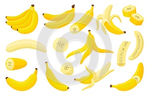 Cartoon bananas. Fresh isolated banana, cuts slices, in peel and peeled fruit. Exotic vitamin food, tropical vegetarian