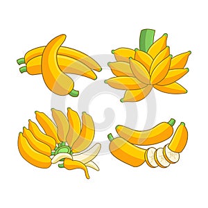 Cartoon bananas. Peel banana, yellow fruit set