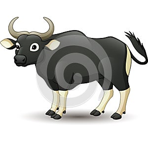 Cartoon Banteng wild cattle