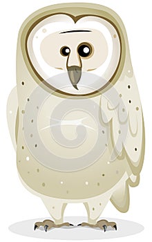 Cartoon Barn Owl Character