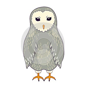 Cartoon barn owl. Colored vector bird art