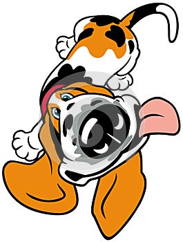 Cartoon basset hound