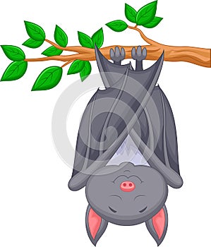 Cartoon bat sleeping