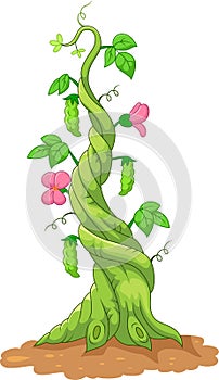 Cartoon bean stalk