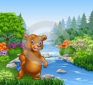 Cartoon bear in Beautiful river in forest