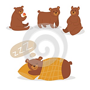 Cartoon bear character teddy pose vector set