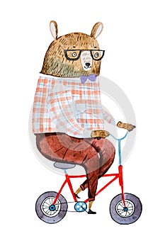 Cartoon bear dressed up in hipster clothes riding a bike drawn on white paper with watercolor technique