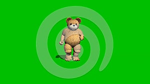 Cartoon bear runs backwards - green screen