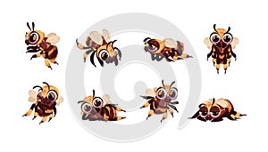 Cartoon bee. Bumblebee smiley mascot character standing and lying. Funny flying insect buzzing. Happy hornet and wasp