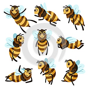 Cartoon bees. Cute bee character in different poses, flying honey bee mascot vector illustration set