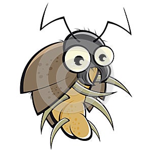Cartoon Beetle photo
