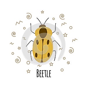 Cartoon beetle vector  illustration isolated on white background.