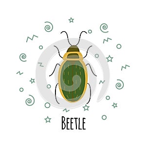 Cartoon beetle vector  illustration isolated on white background.