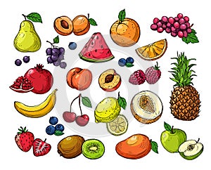 Cartoon berries and fruits. Pineapple grapes, pear apple, orange mango, melon kiwi, banana lemon. Vector isolated set