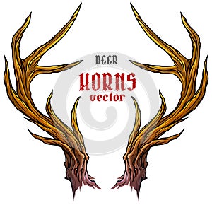 Cartoon big deer horns or antlers vector