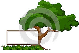 Cartoon big green tree with blank sign isolated on white