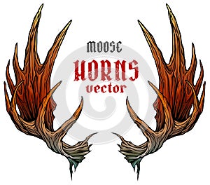 Cartoon big moose horns or antlers vector