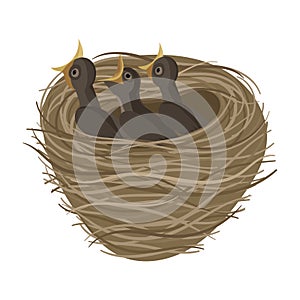 Cartoon bird`s nest with chicks. Vector illustration for children. Springtime.