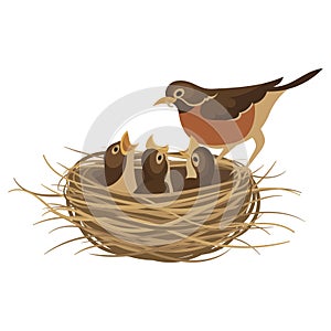 Cartoon bird`s nest with chicks. Vector illustration for children. Springtime.