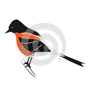 Cartoon bird. Yurok. Vector illustration on a white background.