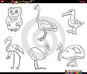 Cartoon birds animal characters set coloring book page