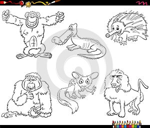 Cartoon birds animal characters set coloring book page
