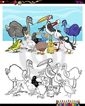 Cartoon birds for coloring