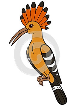 Cartoon birds. Cute beautiful hoopoe smiles