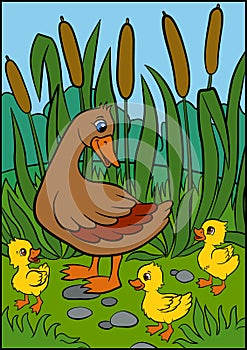 Cartoon birds for kids. Little cute duck.