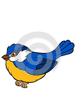 Cartoon birds for kids. Little cute titmouse.