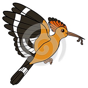 Cartoon birds. Mother hoopoe holds an worm in her beak