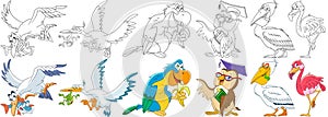 Cartoon birds set