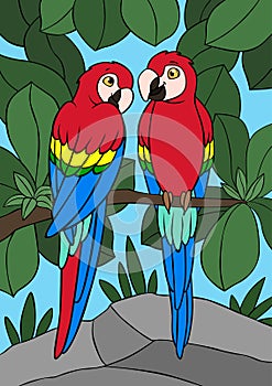 Cartoon birds. Two cute parrots red macaw sit on the tree branch