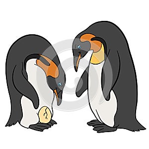 Cartoon birds. Two cute penguins look at the egg