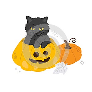 cartoon black cat sits in a halloween pumpkin