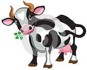 Cartoon black spotted cow isolated on white