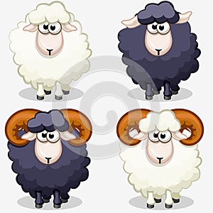 Cartoon black and white sheep