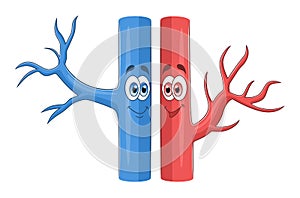 Cartoon blood vessels