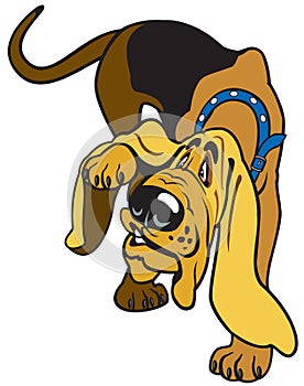 Cartoon bloodhound