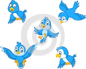 Cartoon blue bird collection set