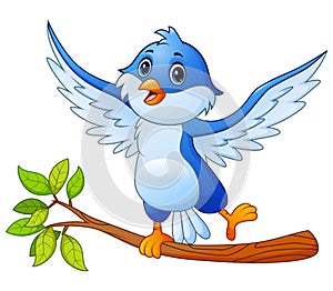 Cartoon blue bird standing on tree branch and posing