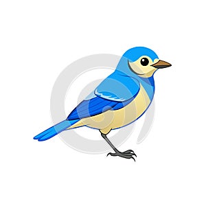 Cartoon bluebird illustration standing isolated on a white background photo