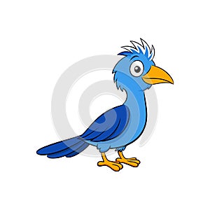 Cartoon bluebird illustration standing on white background looking forward photo