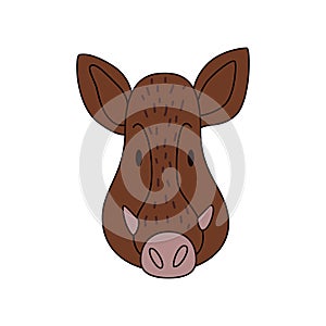 Cartoon boar head isolated. Colored vector illustration of a wild boar head with an outline on a white background. Cute