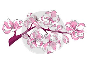 Cartoon branch of cherry blossoms. Illustration of a sakura branch with flowers. Logo. Picture of the symbol of spring.