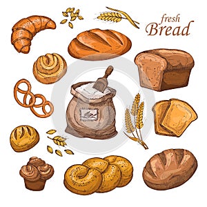 Cartoon bread, fresh bakery product, flour, ears of wheat. Hand drawn vector set isolated on white background
