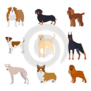 Cartoon Breed of Dogs Collection Icons. Vector