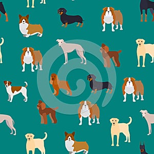 Cartoon Breed of Dogs Seamless Pattern Background. Vector